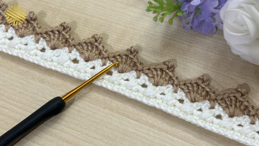 Stunning Crochet Border Pattern for Beginners! Super Easy Crochet Edging for Blanket and Sweater