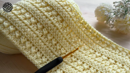 SIMPLE Crochet Pattern for Beginners. PEERLESS Crochet Stitch for Blanket, Sweater, Scarf & Bag