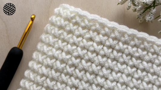 EASY PEASY "X" Crochet Pattern for Beginners (1 ROW REPEAT) - Crochet Stitch for Bag, Headband & Hat