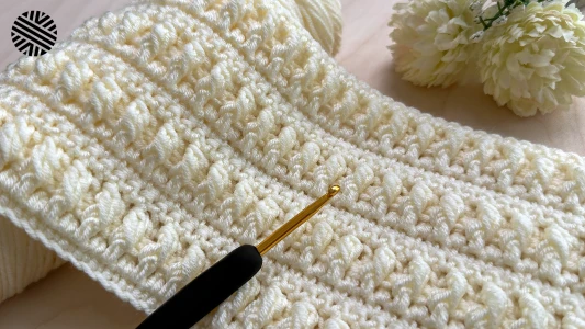 Very Easy & Delightful Crochet Pattern for Beginners - Crochet Stitch for Baby Blanket, Bag, Scarf and Hat